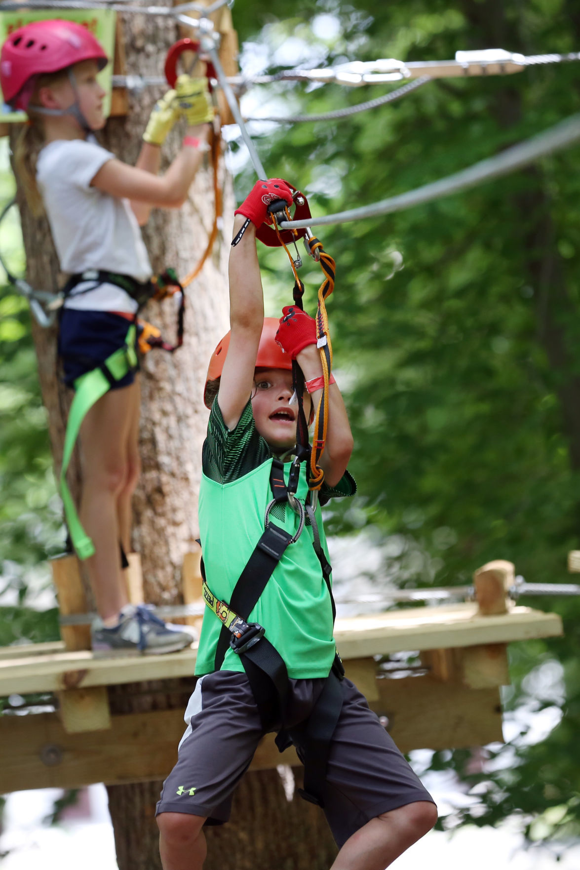Treetop Quest